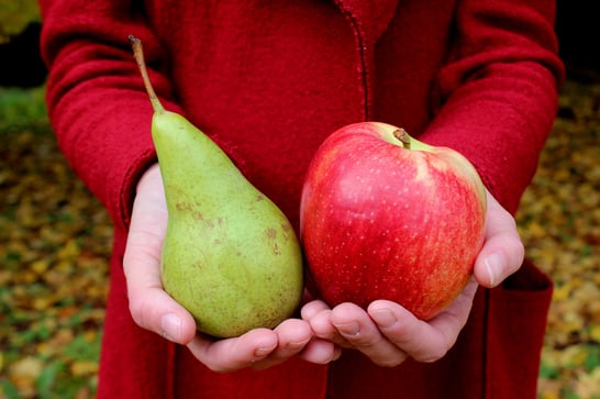 appels met peren vergelijken