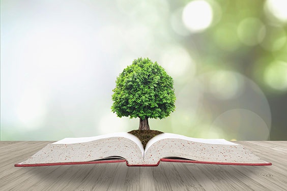 ISO 14001: Hoe brengt u milieuwetgeving in kaart?-1.jpg